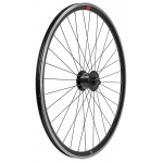 28 inch wheel with Shimano dynamo hub (ETRTO 622)